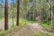 Photo - 490 Glenview Road, Glenview QLD 4553 - Image 25