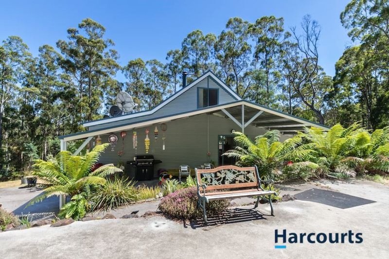 490 Paloona Road, Paloona TAS 7310