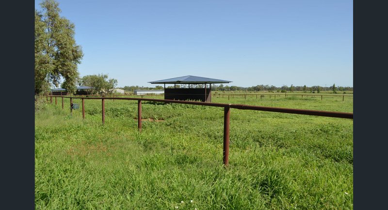 Photo - 491 T Moore Road, Oakey QLD 4401 - Image 11