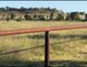 Photo - 491 T Moore Road, Oakey QLD 4401 - Image 14