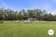 Photo - 492 Timber Top Road, Glenreagh NSW 2450 - Image 4