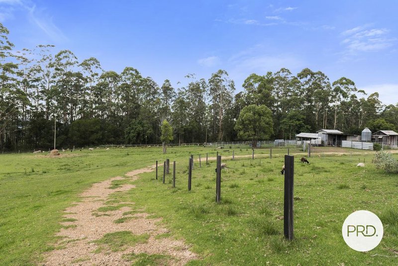 Photo - 492 Timber Top Road, Glenreagh NSW 2450 - Image 9