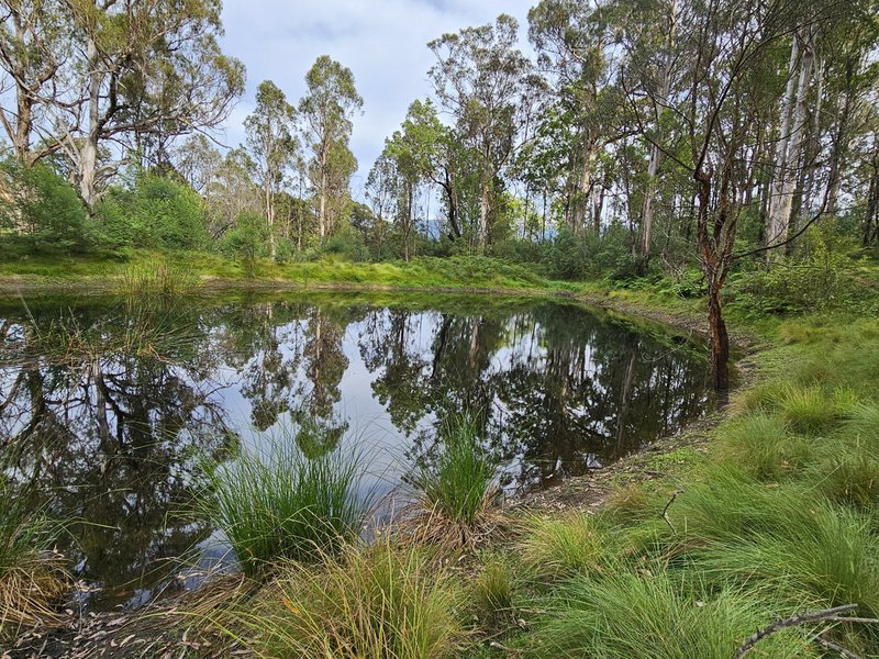 Photo - 492 Yankees Gap Road, Bemboka NSW 2550 - Image 13