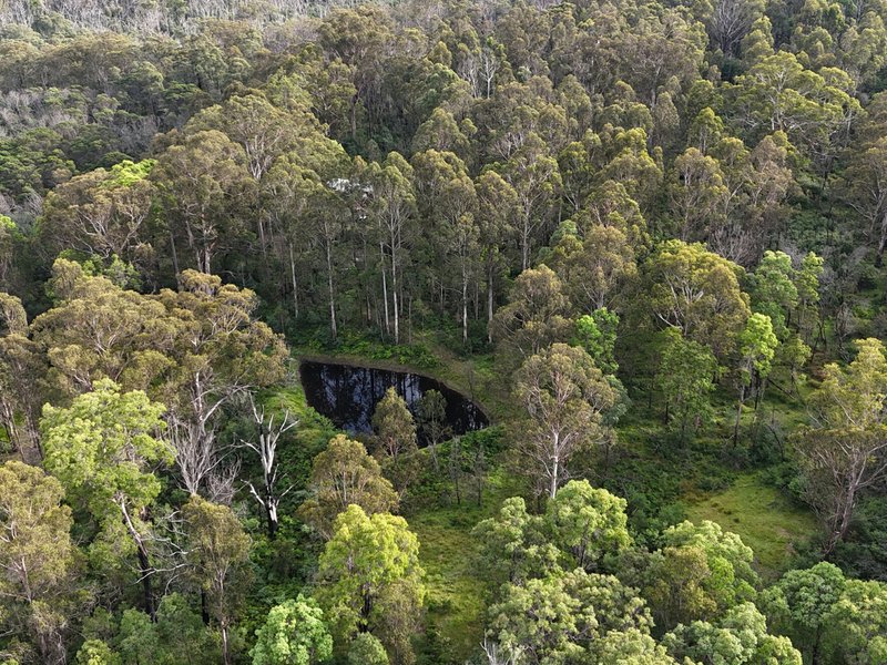 Photo - 492 Yankees Gap Road, Bemboka NSW 2550 - Image 14