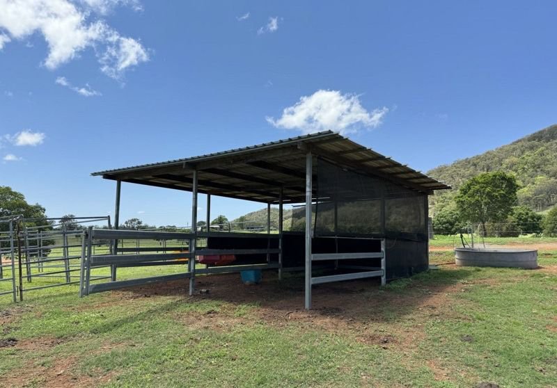 Photo - 493 and 535 Spresser Road, Targinnie QLD 4694 - Image 14