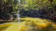 Photo - 493 Bilwon Road, Biboohra QLD 4880 - Image 3