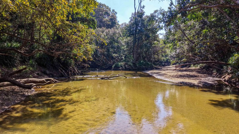 Photo - 493 Bilwon Road, Biboohra QLD 4880 - Image 19