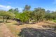 Photo - 493 Bilwon Road, Biboohra QLD 4880 - Image 23