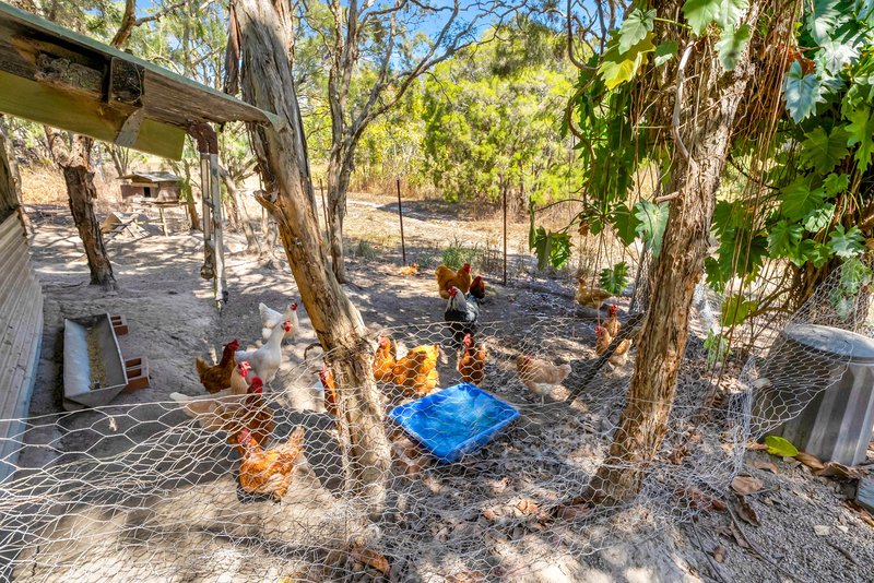 Photo - 493 Bilwon Road, Biboohra QLD 4880 - Image 32
