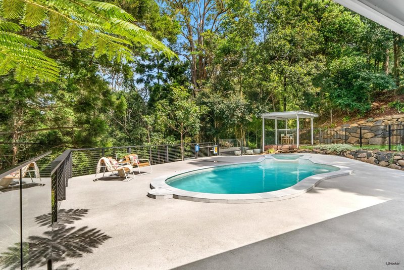 Photo - 493 Tallebudgera Connection Road, Currumbin Valley QLD 4223 - Image 2