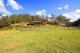 Photo - 493 Webbs Creek Road, Webbs Creek NSW 2775 - Image 14