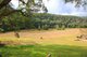 Photo - 493 Webbs Creek Road, Webbs Creek NSW 2775 - Image 21