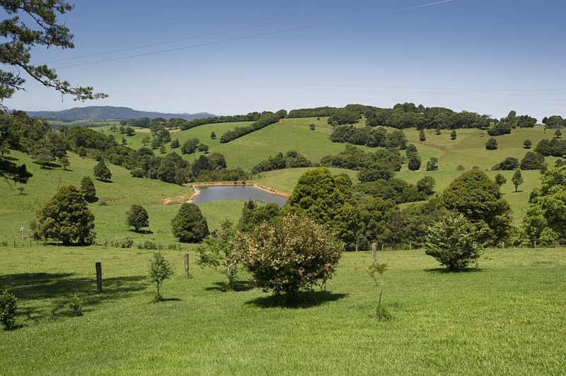 4948 Waterfall Way, Dorrigo NSW 2453