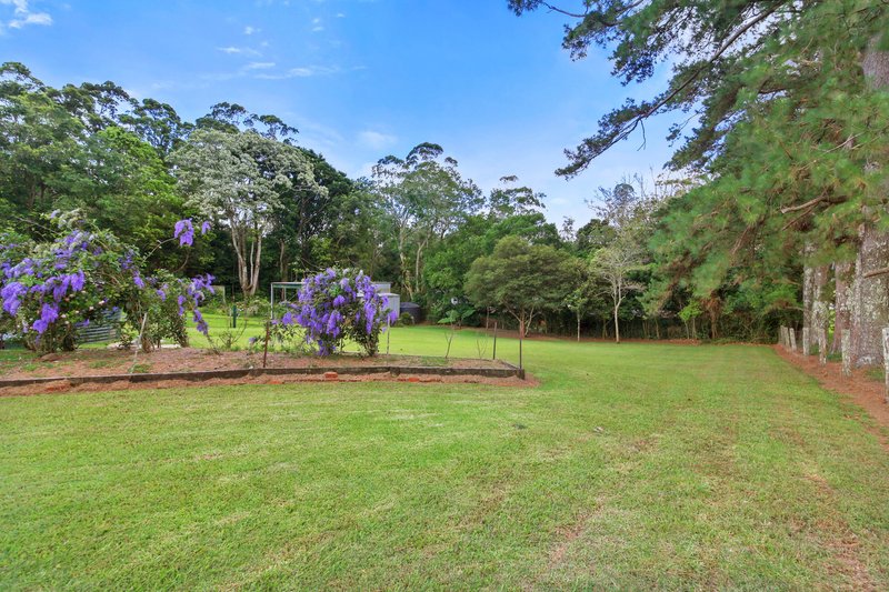 Photo - 496 Mountain View Road, Maleny QLD 4552 - Image 12