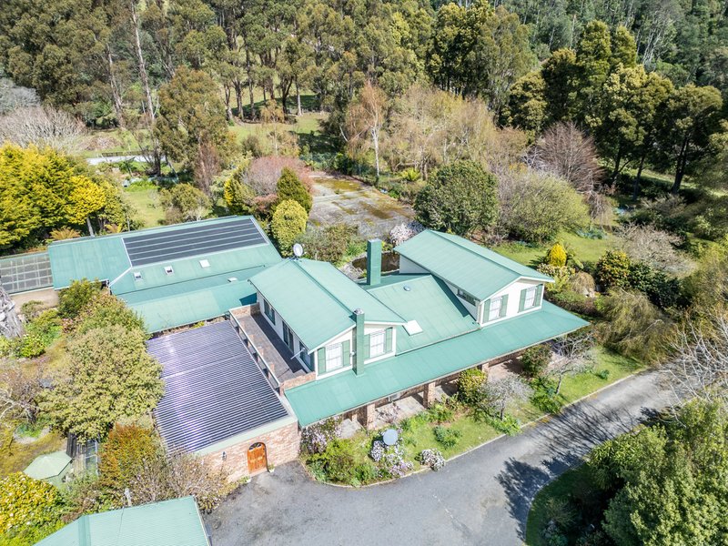 Photo - 497 Lottah Road, Goulds Country TAS 7216 - Image 2