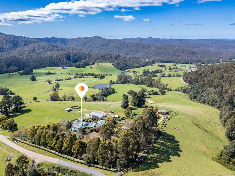 Photo - 497 Lottah Road, Goulds Country TAS 7216 - Image 3