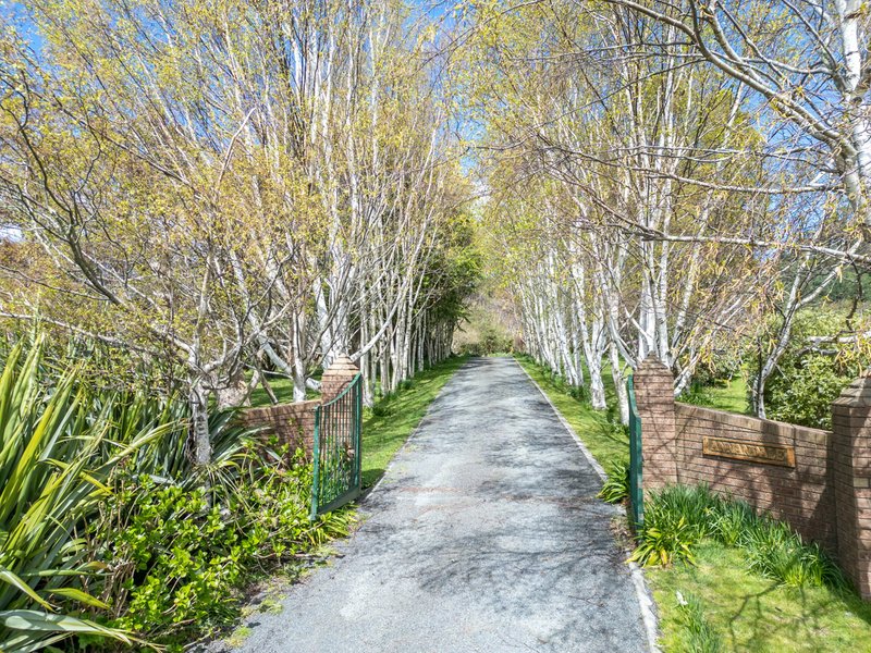 Photo - 497 Lottah Road, Goulds Country TAS 7216 - Image 4