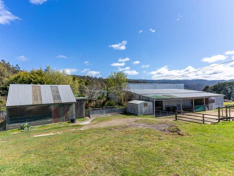 Photo - 497 Lottah Road, Goulds Country TAS 7216 - Image 24