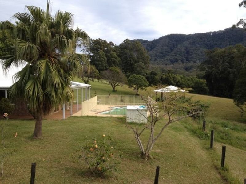 Photo - 497 Stuarts Point Road, Yarrahapinni NSW 2441 - Image 4