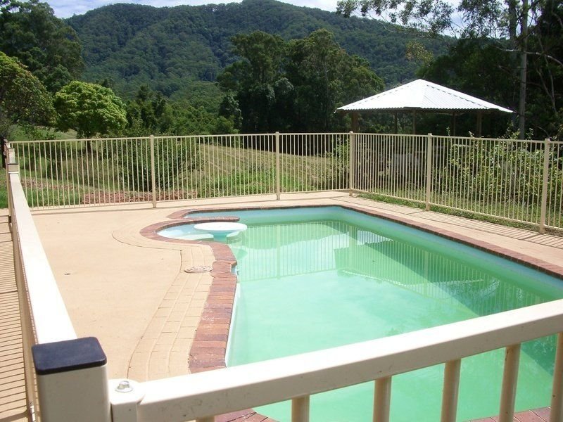 Photo - 497 Stuarts Point Road, Yarrahapinni NSW 2441 - Image 5