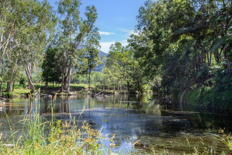 Photo - 498 Gorge Road, Finch Hatton QLD 4756 - Image 20