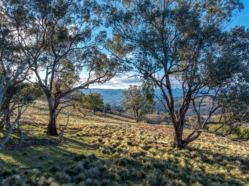 Photo - 498 (LOT A) Decca Road, Bigga NSW 2583 - Image 17