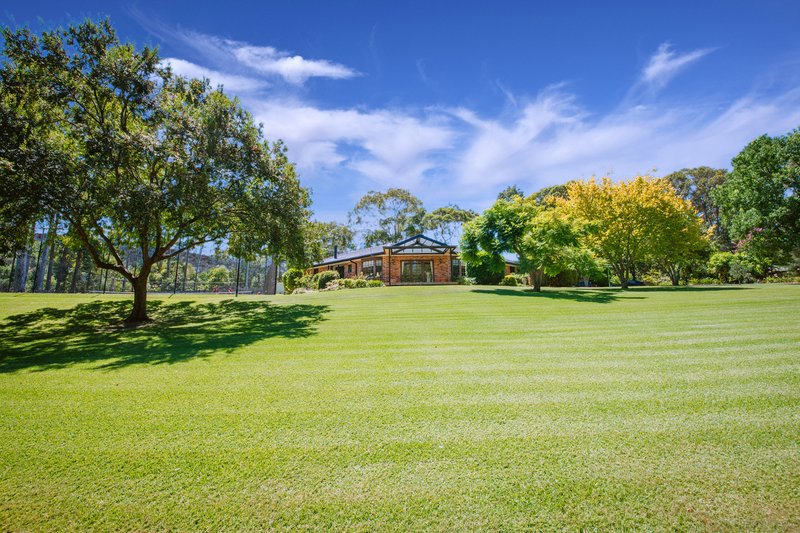 Photo - 498 Tumbi Road, Wamberal NSW 2260 - Image 11