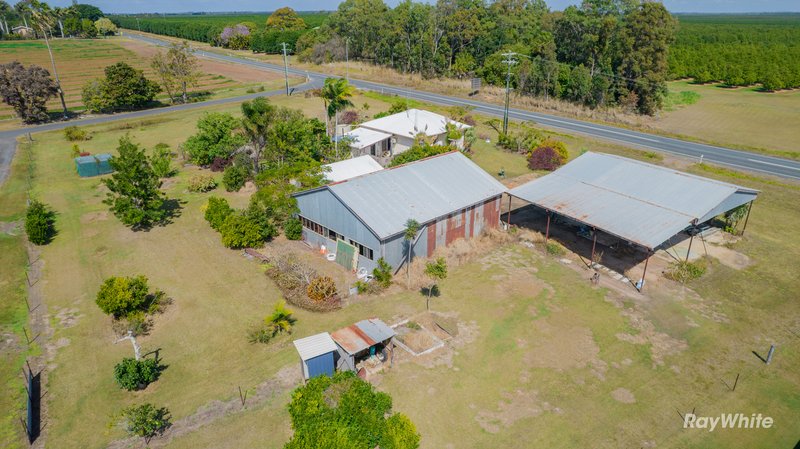 Photo - 499 Moore Park Road, Welcome Creek QLD 4670 - Image 23