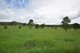 Photo - 49/93 Calcite Road, Ottaba QLD 4313 - Image 12