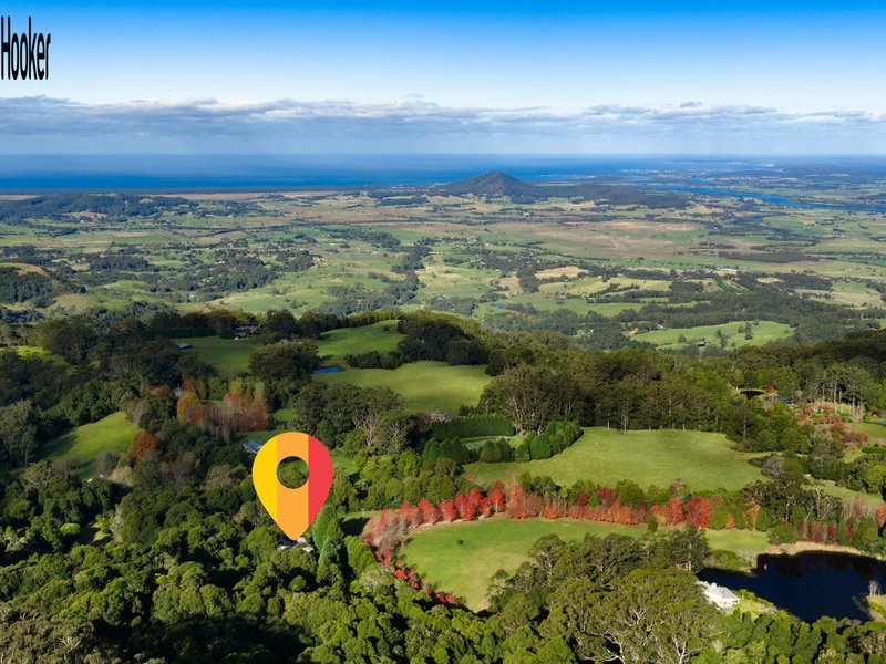 Photo - 499A Tourist Road, Bellawongarah NSW 2535 - Image 9