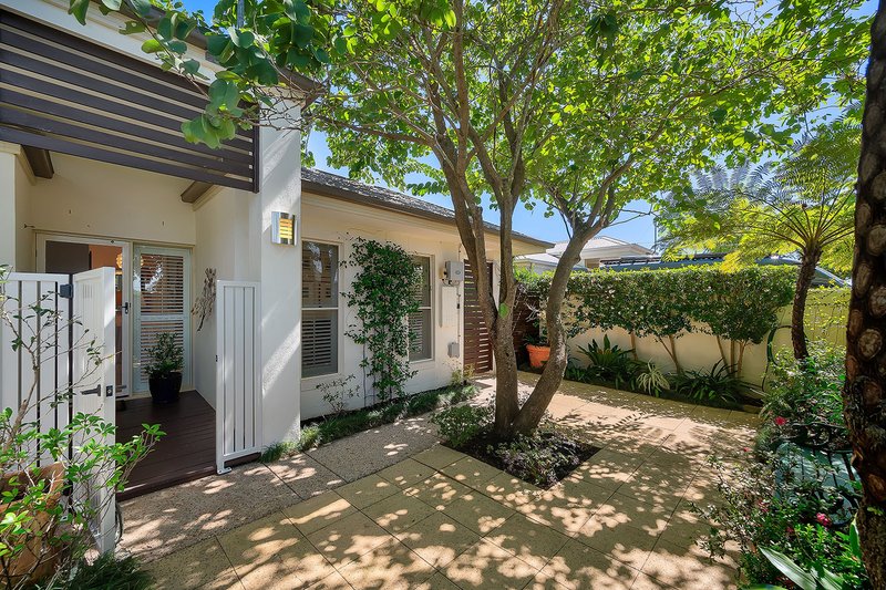 Photo - 4A Chadwick Street, Buderim QLD 4556 - Image 1