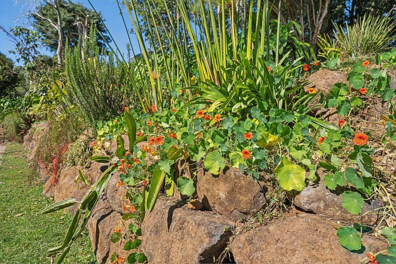 Photo - 4B Centenary Drive, Maleny QLD 4552 - Image 25