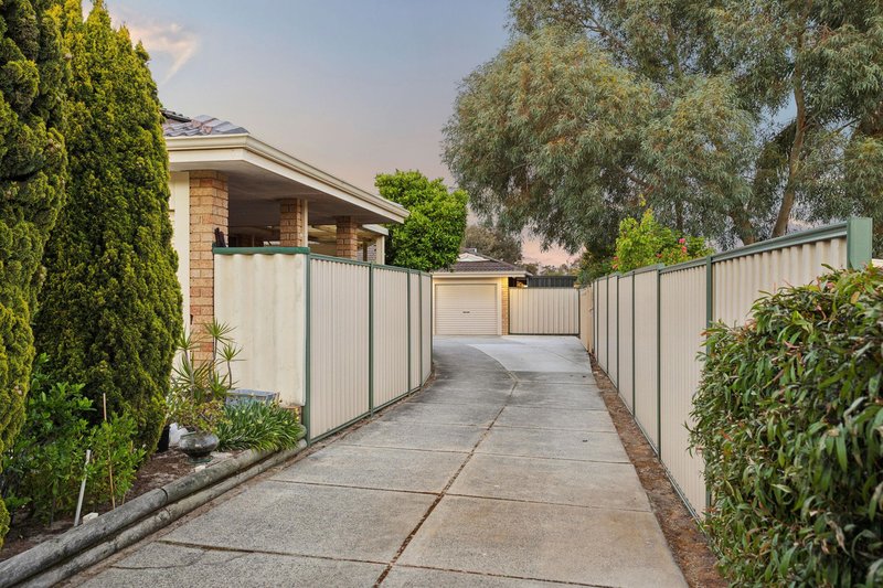 Photo - 4B Cradle Close, Alexander Heights WA 6064 - Image 28
