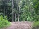 Photo - 4b Gumtree Drive, Buderim QLD 4556 - Image 2