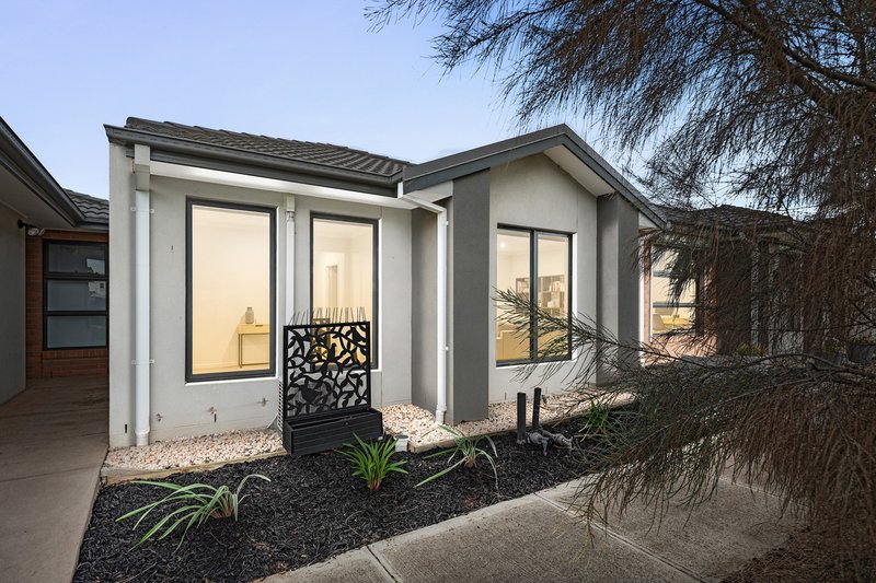 Photo - 5 Amberfish Walk, Tarneit VIC 3029 - Image 1