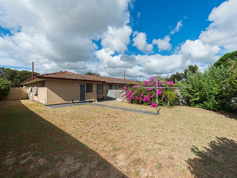 Photo - 5 Apollo Way, Carlisle WA 6101 - Image 17