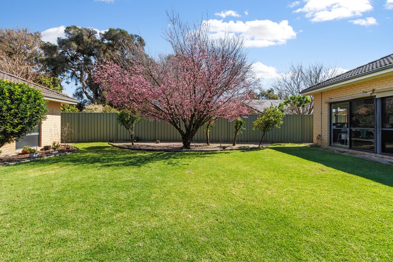 Photo - 5 Ashmore Avenue, Canning Vale WA 6155 - Image 20