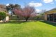 Photo - 5 Ashmore Avenue, Canning Vale WA 6155 - Image 20