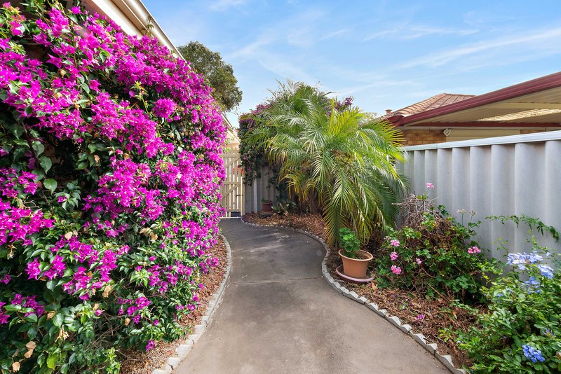 Photo - 5 Basslet Place, Warnbro WA 6169 - Image 30