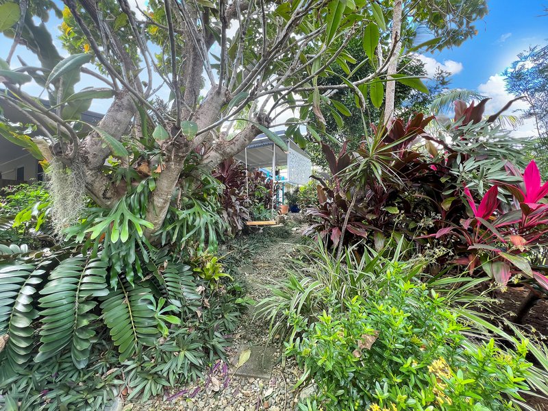 Photo - 5 Boroko Close, Trinity Beach QLD 4879 - Image 28