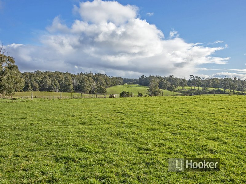 Photo - 5 Bourkes Road, Wynyard TAS 7325 - Image 14