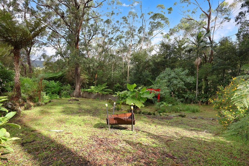 Photo - 5 Boy-Ull Road, Springbrook QLD 4213 - Image 11