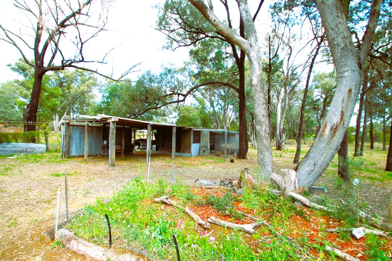 Photo - 5 Broughton Street, Spring Ridge NSW 2343 - Image 17