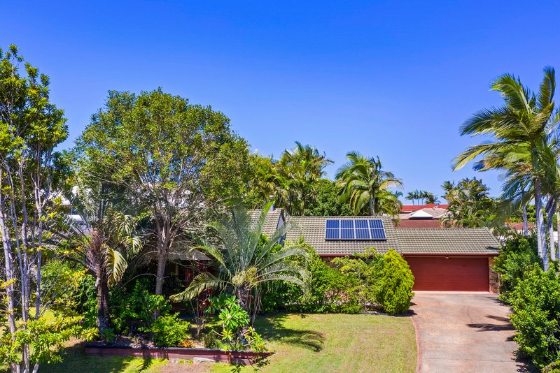 Photo - 5 Cabernet Court, Buderim QLD 4556 - Image 14