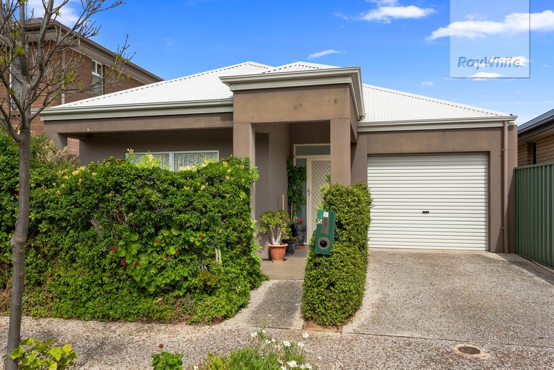 5 Caswell Circuit, Mawson Lakes SA 5095