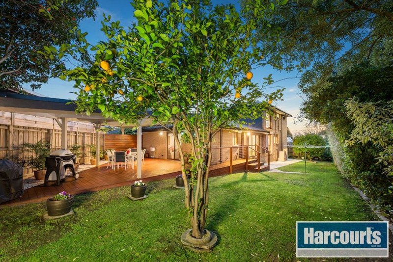 Photo - 5 Caulfield Court, Wantirna VIC 3152 - Image 11