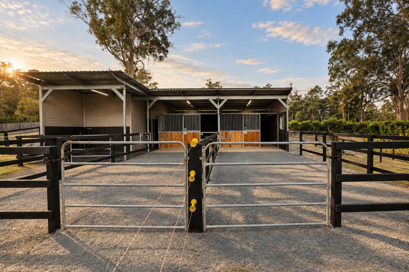 Photo - 5 Chesterton Road, Guanaba QLD 4210 - Image 7