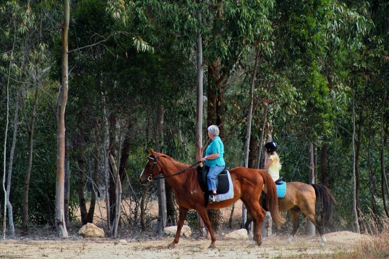 Photo - 5 Chilli Glade, Two Rocks WA 6037 - Image 4