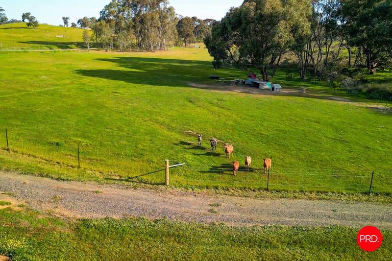 Photo - 5 Clancy Road, Eppalock VIC 3551 - Image 27