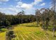 Photo - 5 Clare Place, Taree NSW 2430 - Image 2